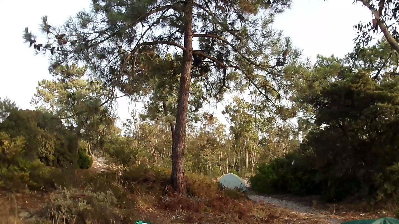 Camping Andre 2/2