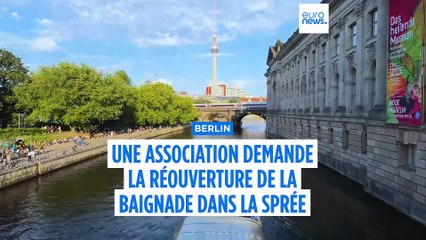 "Tout le monde devrait pouvoir nager" : à Berlin, une association milite pour la baignade dans la Sprée