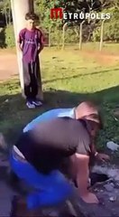 Martelada da salvação: Pit-bulls caem em bueiro e são resgatados