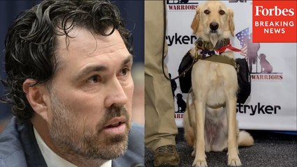 ‘A Life Changing Event’: Morgan Luttrell Advocates For Grants To Help Veterans Get Service Dogs