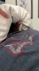 Rescued House Sparrow Playfully Attacks Hand to Protect Cover