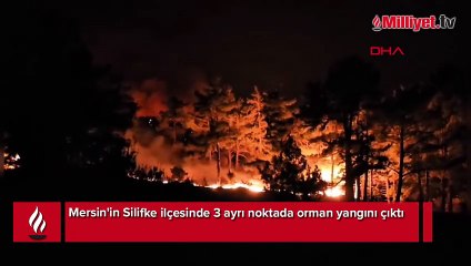 Silifke'de orman yangını devam ediyor