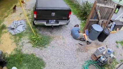 Animal Encounters But They Get Crazier! 🐴