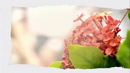 Tập 29 - Trạm Kế Tiếp Hạnh Phúc (Vietsub)_DV Ngô Kiến Hào, An Dĩ Hiên