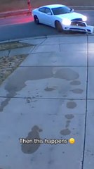 Car's Front Damaged While Reversing