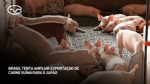 Brasil tenta ampliar exportação de carne suína para o Japão