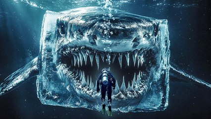 Créatures marines que vous souhaiterez ne jamais avoir vues