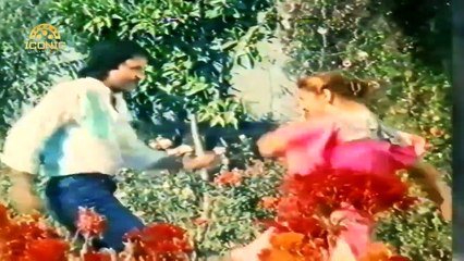 HAI VE HAI MENU HOGAYA KI - NOOR JEHAN - NADRA _ GHULAM MOHAYUDDIN - FILM MOULA BUX
