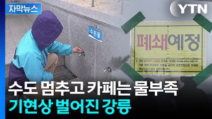[자막뉴스] 물난리 속에 강릉만 다른 세상...비명 지르며 '초비상' / YTN
