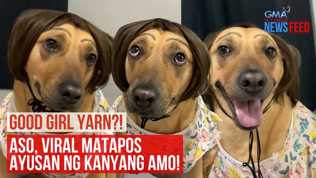 GOOD GIRL YARN?! Aso, viral matapos ayusan ng kanyang amo! | GMA Integrated Newsfeed