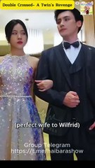 Double Crossed- A Twin's Revenge Full Hd S Shorttv