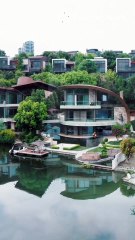 Entwined: Hearts in Sync, Fates in Shadows