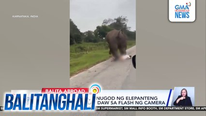 Lalaking turista, sinugod ng elepanteng posibleng nagulat daw sa flash ng camera | Balitanghali