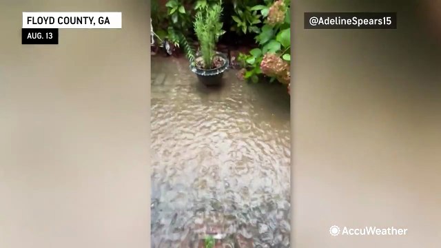 Wednesday's storms wallop the Southeast