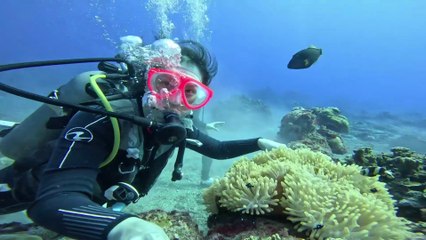 Fakta Menegangkan Tentang Penyelam!