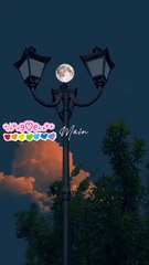 New viral song video Dedication most popular video in Hindi Urdu