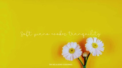 60 Minute Instant CALMING MUSIC, Relaxing Music, Calm Music, Relax (Headache Relief) Sleep