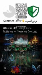 The Ultimate QD-Mini Showdown: 2025’s Best Smart TVs for Movie Nights and Gaming Marathons!