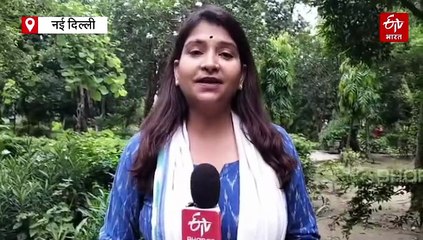 बेजुबान पक्षियों के लिए मौत का खेल बनी पतंगबाज़ी — लेकिन इन दो भाइयों ने अब तक बचाई 36,000 ज़िंदगियाँ