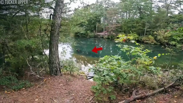 60 Real Camping Horror Stories Caught on Camera