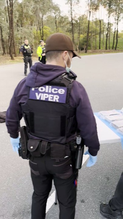 VIPER Taskforce police seize 41kg of cocaine from a truck at Chiltern.