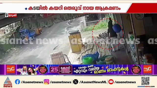 തൊടുപുഴ കലൂരില്‍ തെരുവുനായ കടയില്‍ കയറി ആക്രമിച്ചു; മൂന്ന് പേര്‍ക്ക് പരിക്ക്