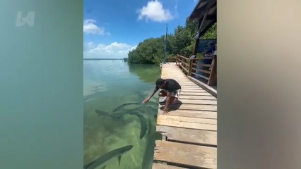 Funny Fails You Need to See 🤣 TRY NOT TO LAUGH Funny Videos