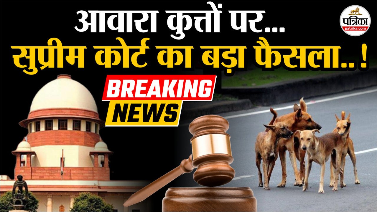 Supreme Court On Stray Dogs : आवारा कुत्तों पर सुप्रीम कोर्ट का फैसला! | Stray Dogs | Delhi NCR Dogs