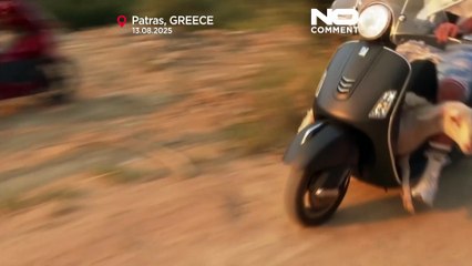 Animals carried to safety as wildfires sweep Greece