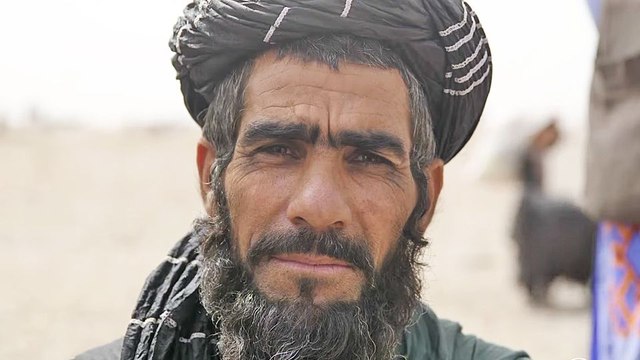 Bodyguard of Lies Bande-annonce VO