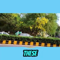 experience the cultural charm!  #viral #trending #explorepage #fyp #reels