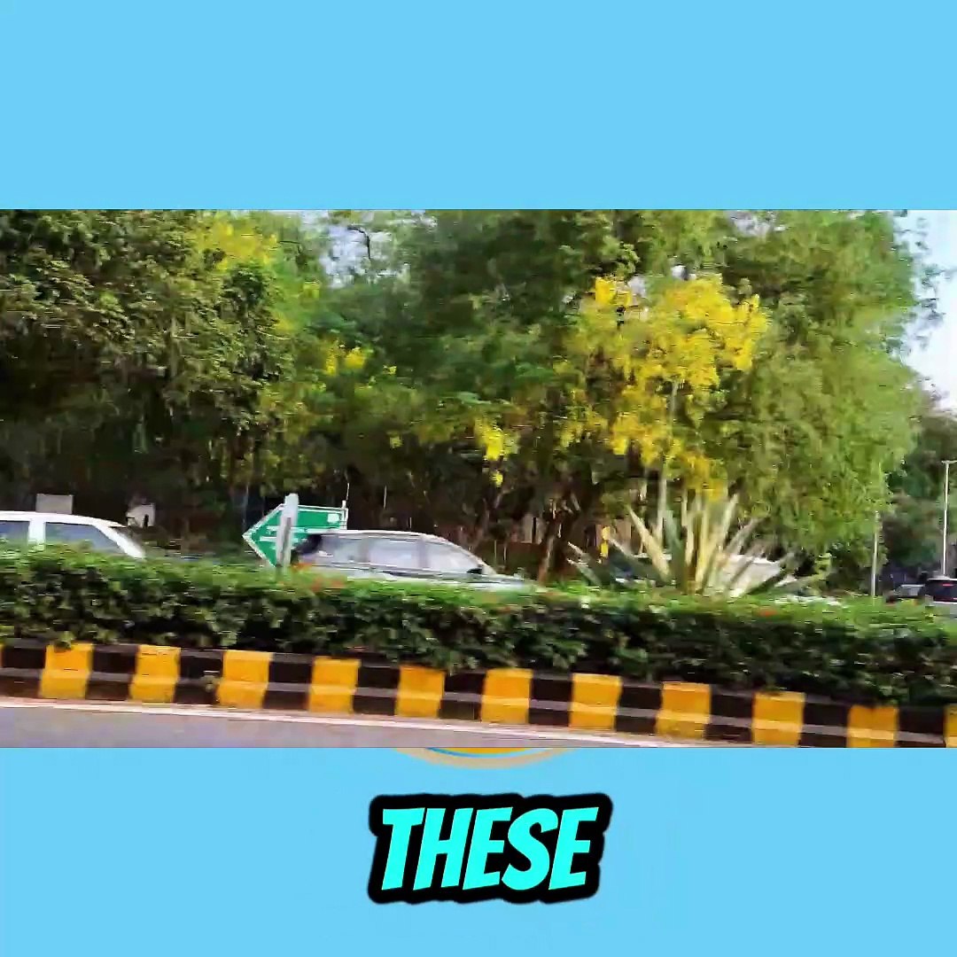 ⁣experience the cultural charm!  #viral #trending #explorepage #fyp #reels