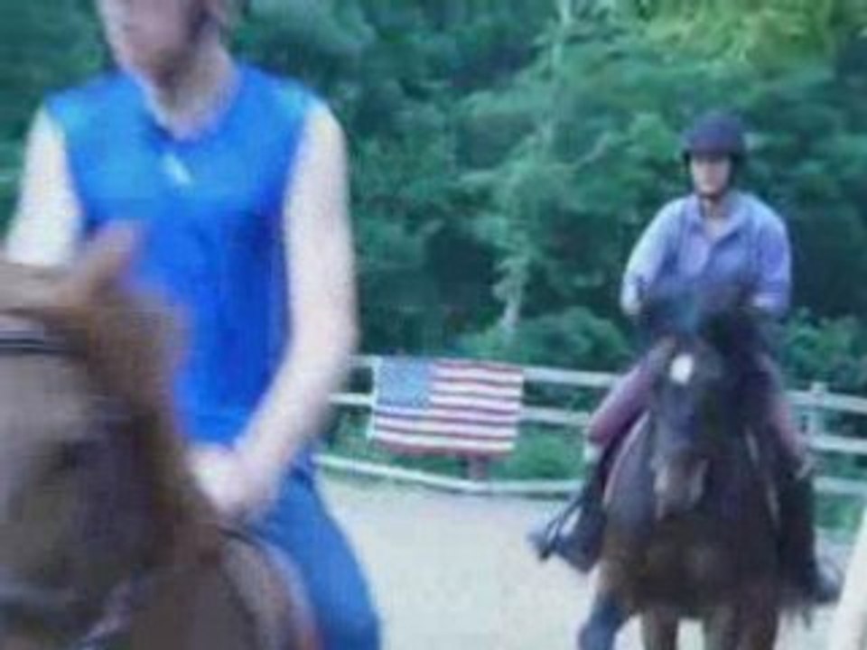 cours ramon dressage