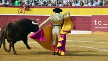 ADAME TARDE huesca