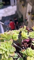 Deux mamies qui retrouvent leur âme d’enfant en jouant à la marelle en Italie 🥰