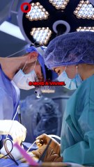 TK78 VA MOURRIR DANS 8 MOIS ? 😱