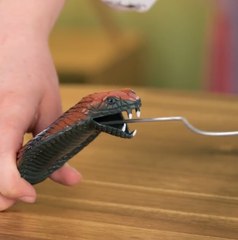 Step Into the Wild with Animal-Inspired Shoes