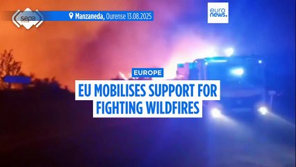 Thousands displaced in Greece, Spain and Portugal as wildfires continue to rage