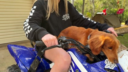 Trial aiming to repair spinal cord damage opens to applicants