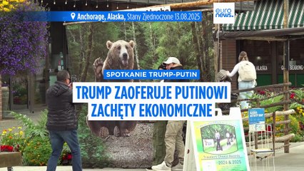Trump zaoferuje Putinowi zachęty ekonomiczne do zakończenia wojny w Ukrainie