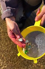 Hunting Lost Treasures in Nature!