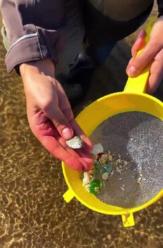 Hunting Lost Treasures in Nature!