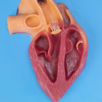 Vous serez surpris de constater que les procédures médicales fonctionnent réellement !