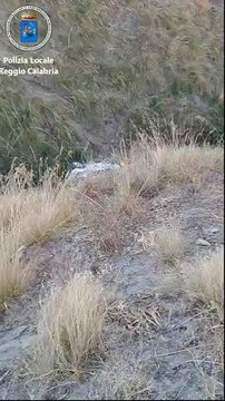 Paura a Reggio, auto precipita da un dirupo per oltre 30 metri. Ma il veicolo era... abbandonato