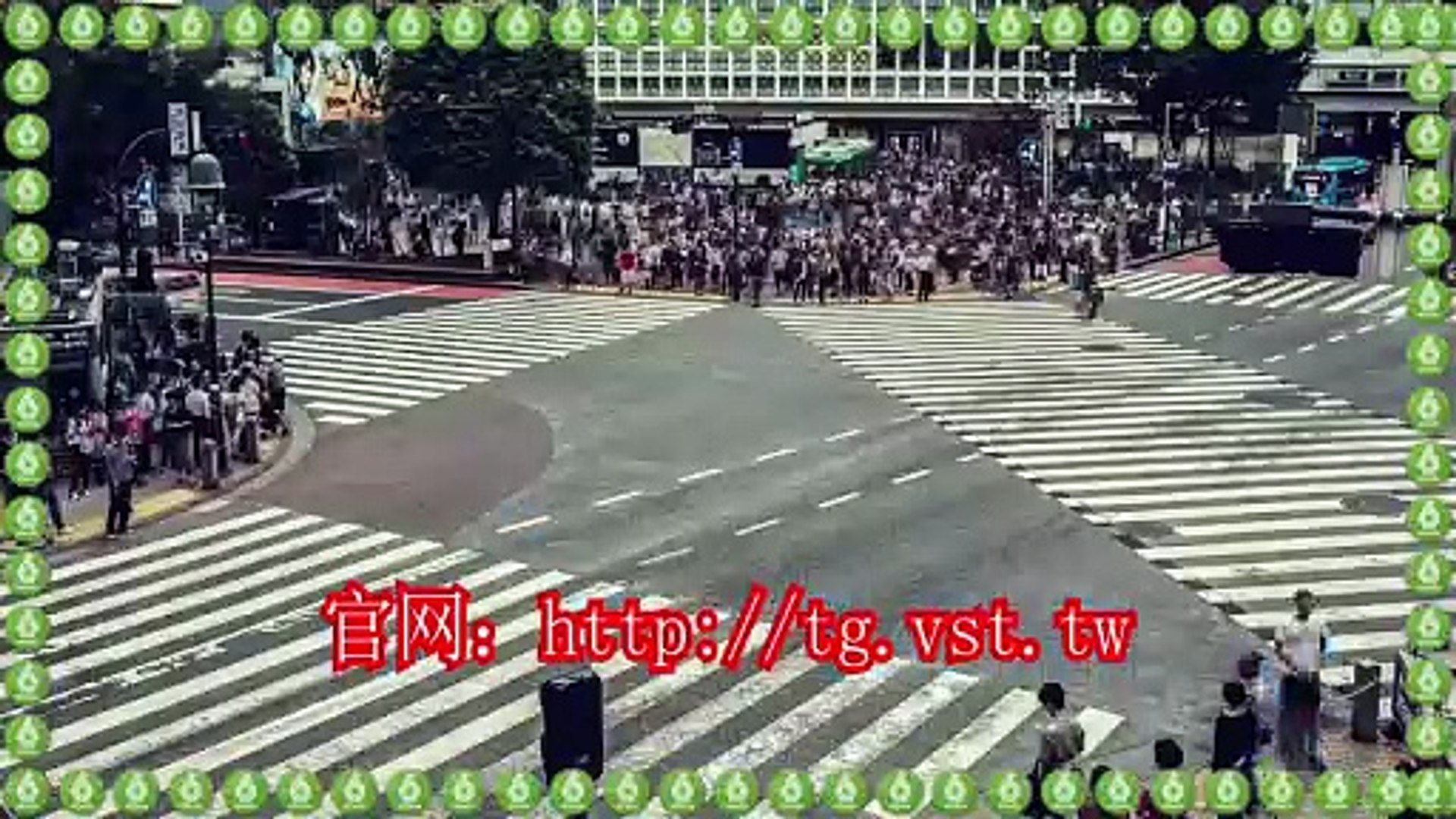 ⁣Telegram加粉,Telegram拉群,电报群控,电报(TG)机器人.