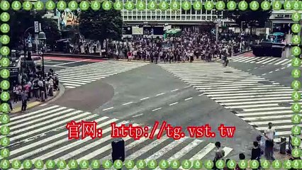 Telegram加粉,Telegram拉群,电报群控,电报(TG)机器人.