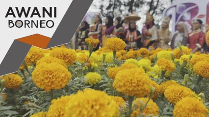 Labuan berpotensi besar menjadi hab tumpuan serantau