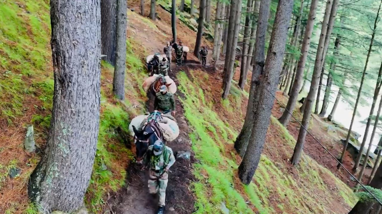 Indian Army’s Animal Transport Brings Relief To Dharali
