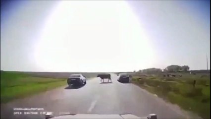 Ce conducteur a un réflexe incroyable qui va lui sauver la vie
