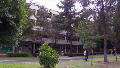 Regalo de Amor | Capitulo 38